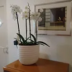 Haardblick Appartement
