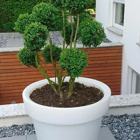 Apartamento Haardblick Flaesheim