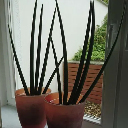 Lägenhet Haardblick Flaesheim