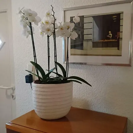 Haardblick Lägenhet