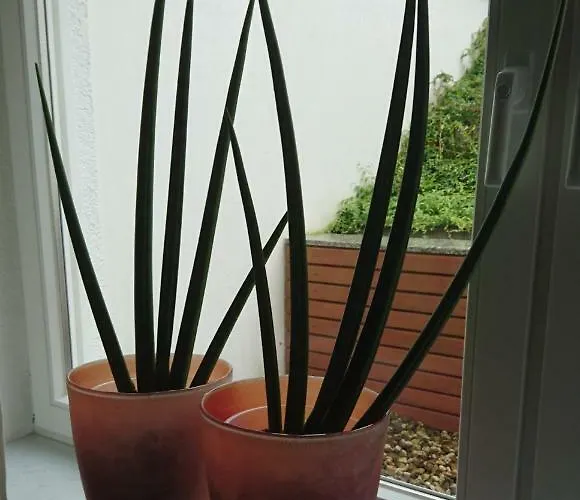 Apartment Haardblick Flaesheim