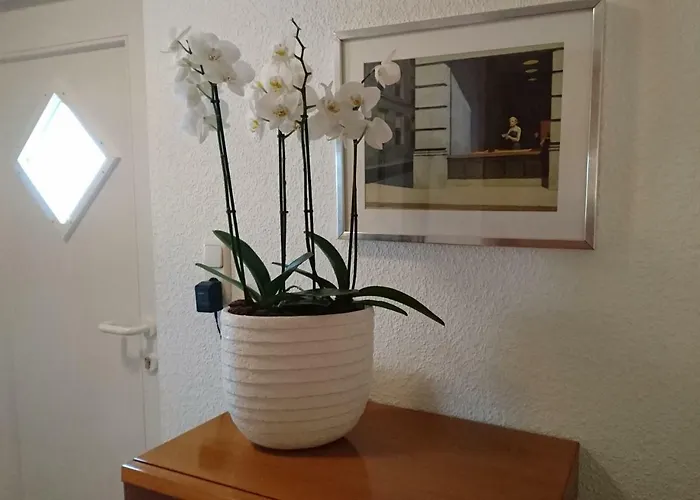 Haardblick شقة
